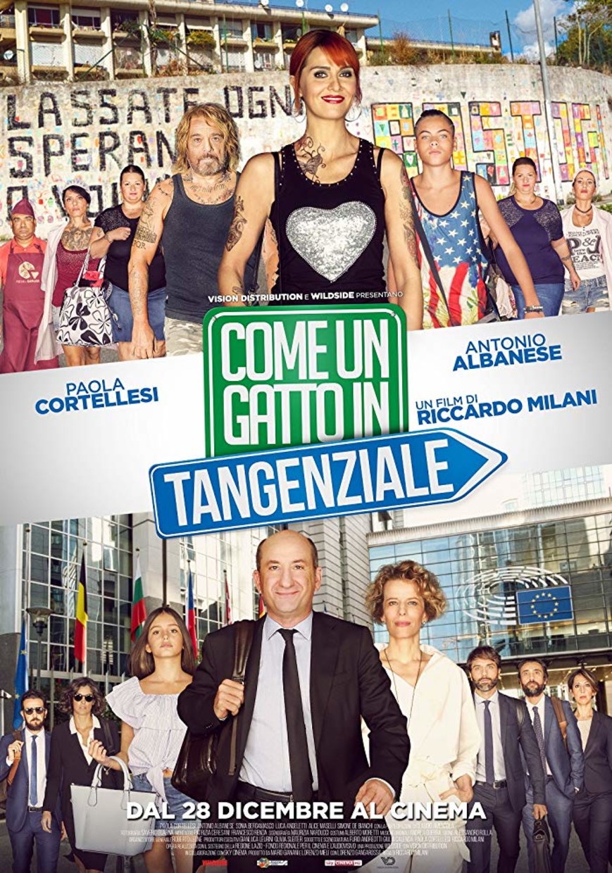 Canzone Come Un Gatto In Tangenziale 2